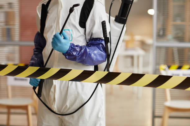 Professional Sewage Cleanup technician working in Kingston, AR